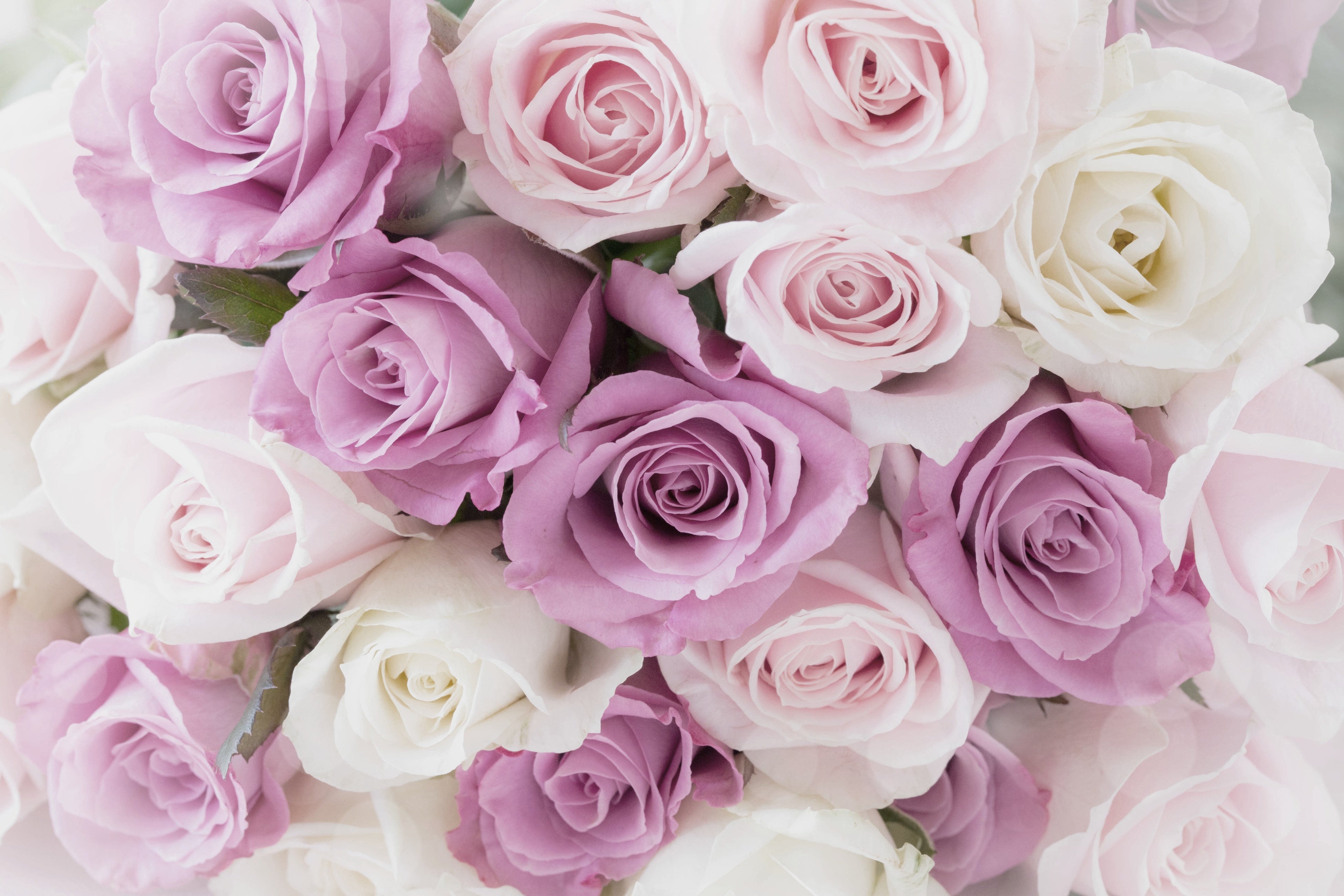 メインイメージ