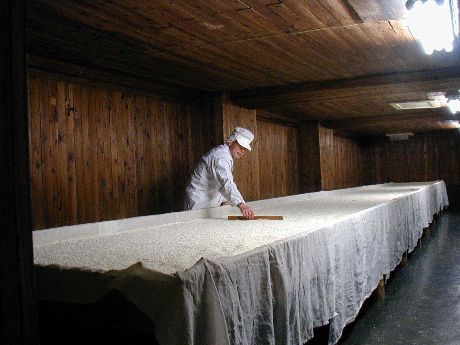 丸久味噌㈱の麹室（こうじむろ）で丁寧に作られる米こうじ