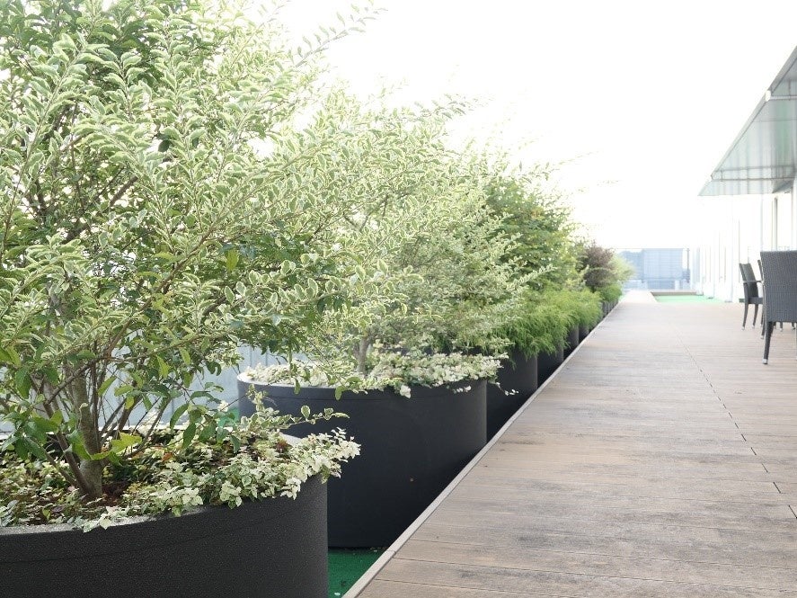 従業員休憩室に隣接のテラスはプランターを配置