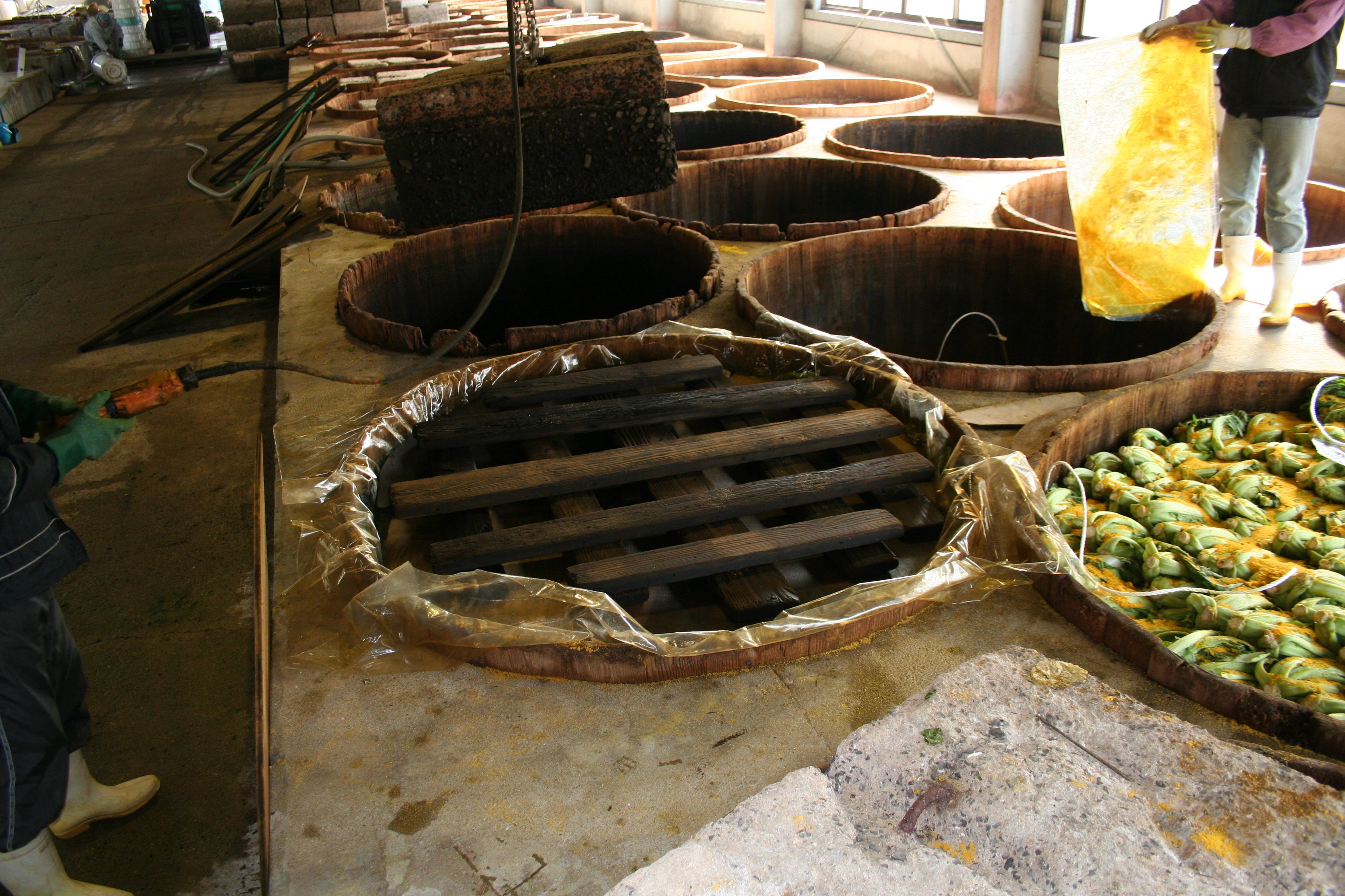 ウコンと塩で漬ける伝統製法