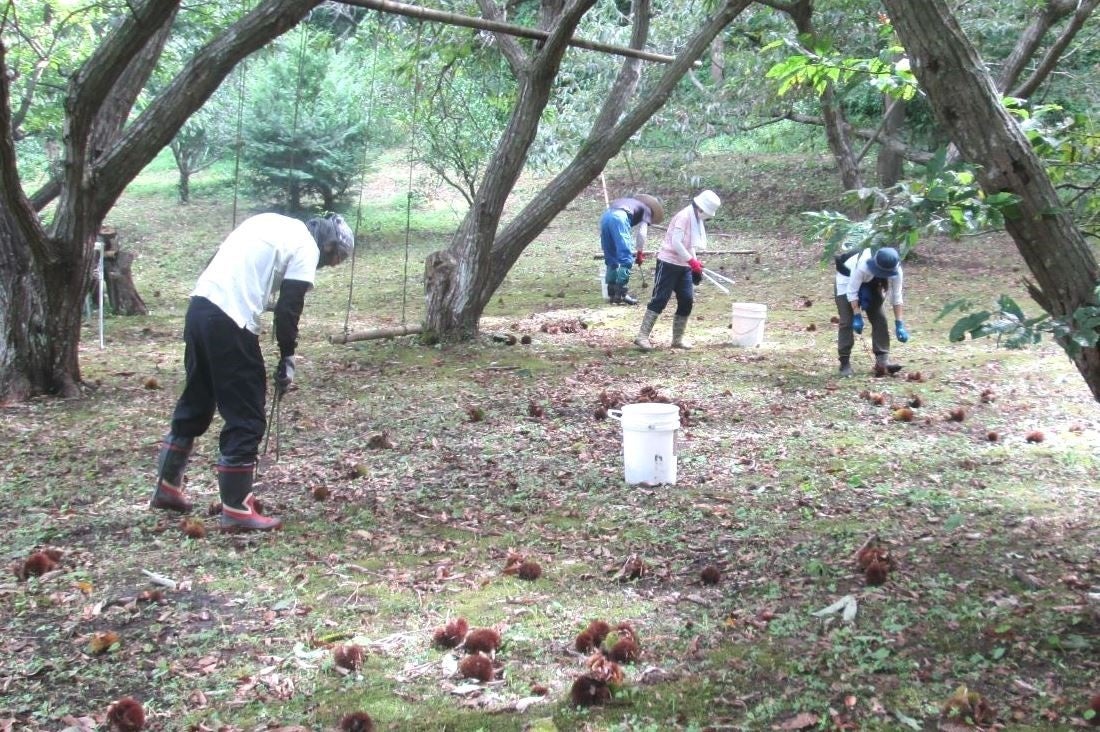 非農家の親子との自然体験用の運搬車などの費用を助成