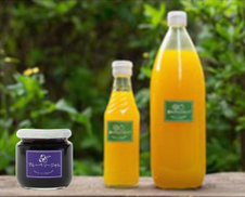 ジョイファーム小田原の ブルーベリージャム(左)と緑（あお）みかんシロップ(右)を使用