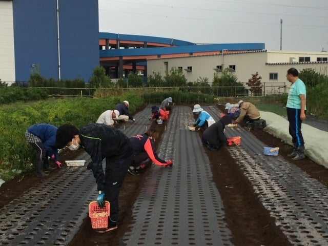 お～い船形促進隊による農福連携