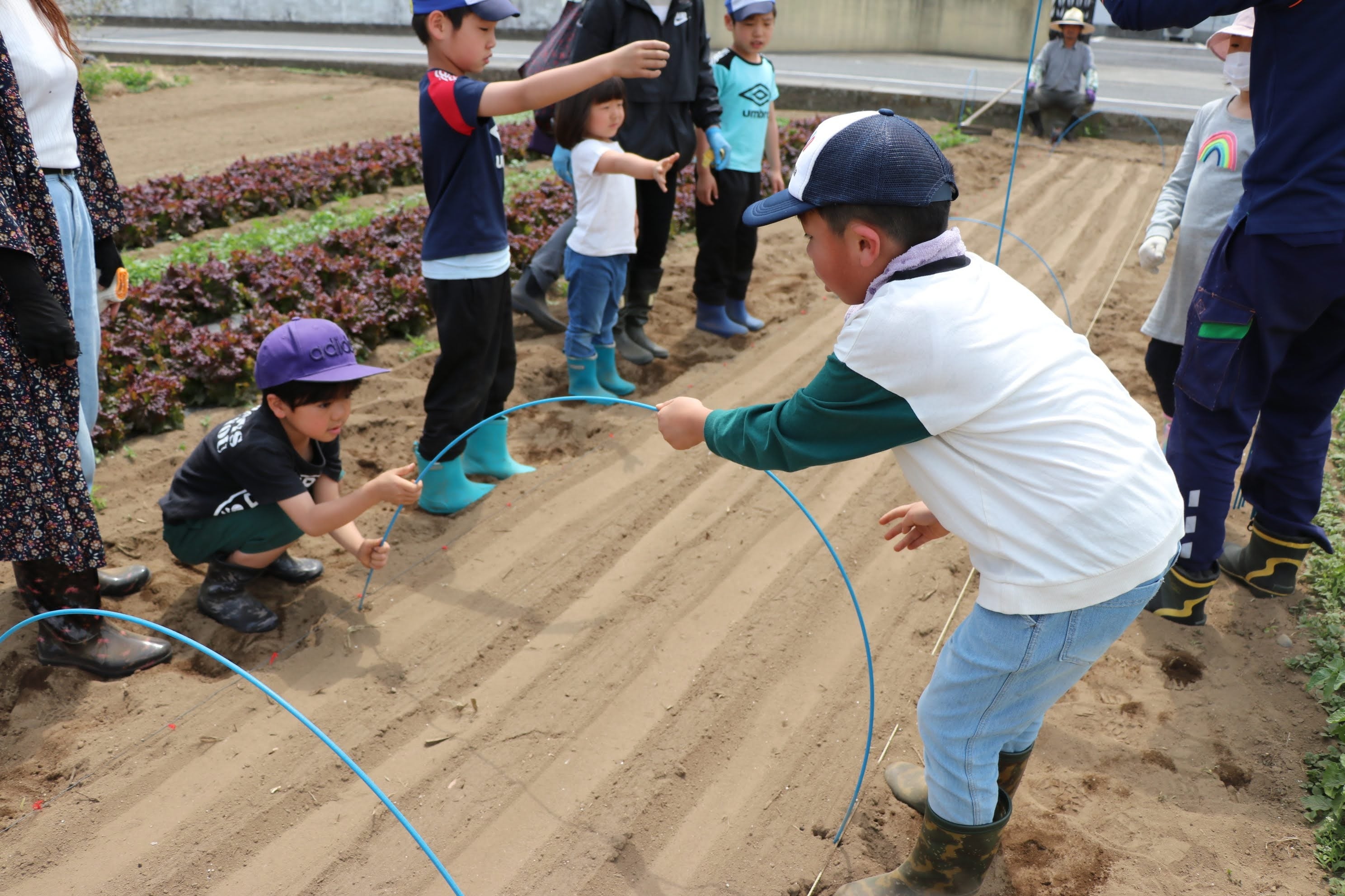 今年4月のネット張り作業の手伝い