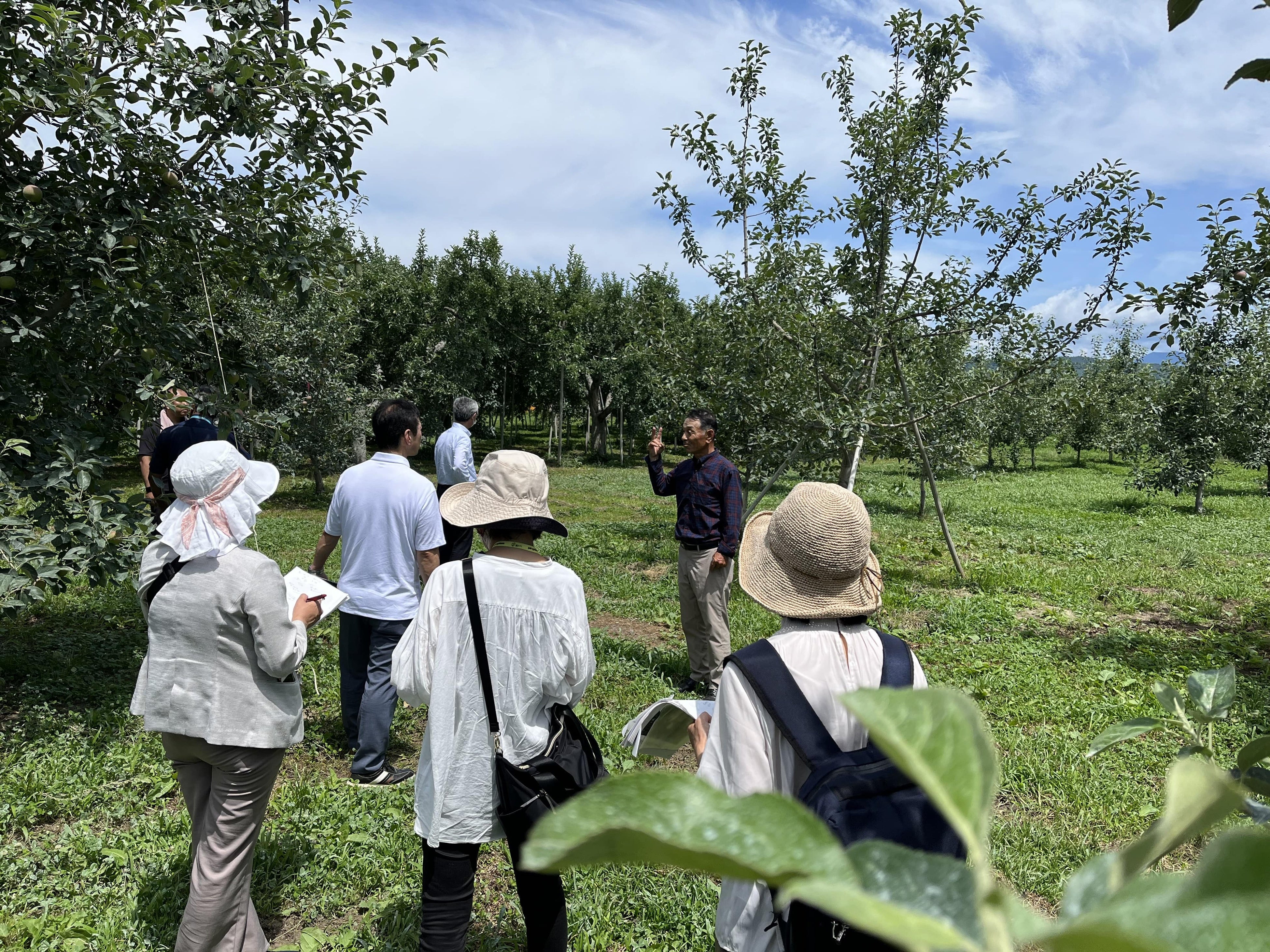 再生したりんご園を視察