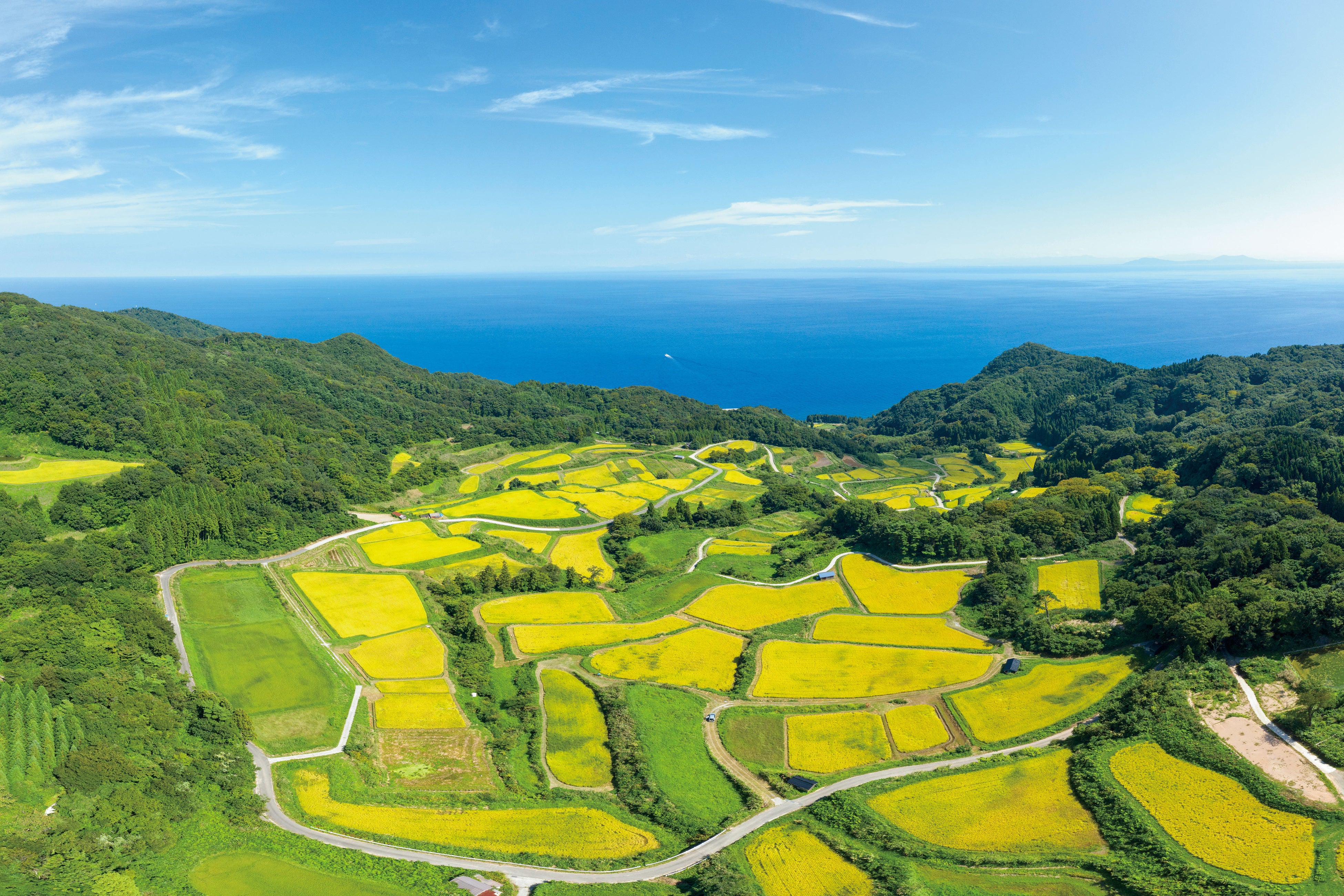 予約登録米の産地の一つJA佐渡