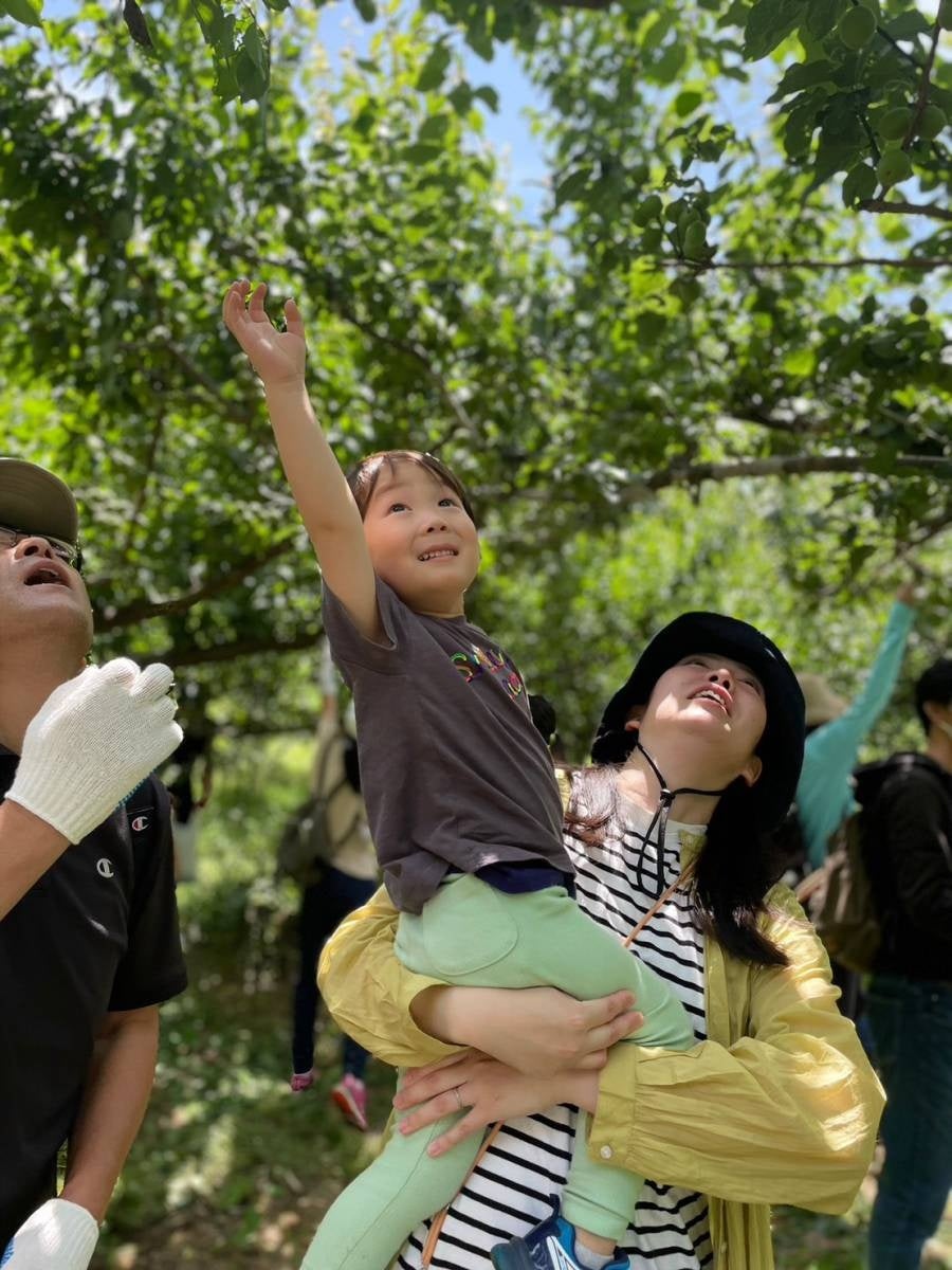 ▲6月には里山での青梅収穫体験会を開催