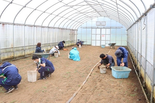 研修参加職員による草取り