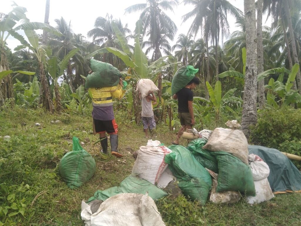 鶏糞をバナナ畑の中まで運び込むスタッフ