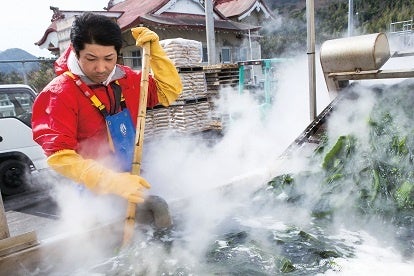水揚げ当日に塩蔵まで一貫加工