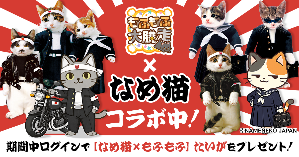 もふ大×なめ猫！激レアコラボ開催。限定キャラをゲット！