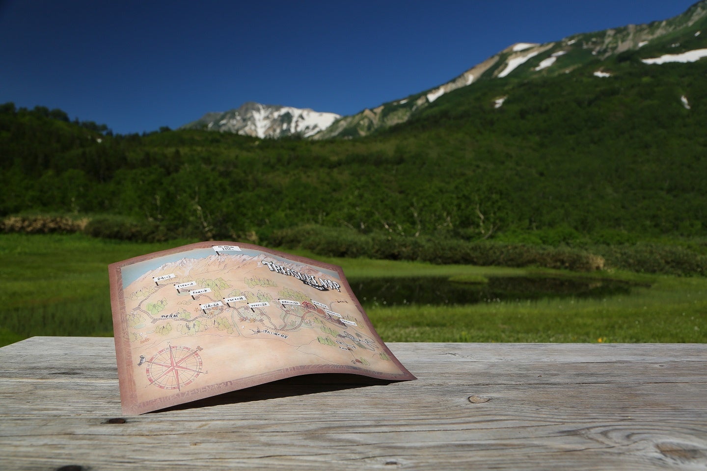 トレジャーハンティング