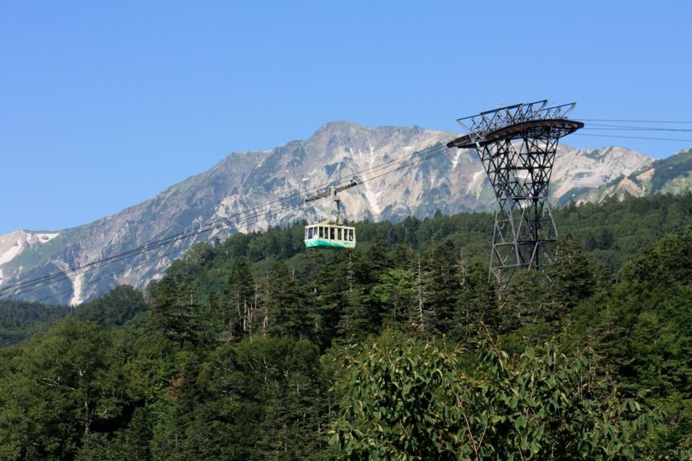 北アルプスの残雪と湿原に咲き誇るミズバショウ！ つがいけ