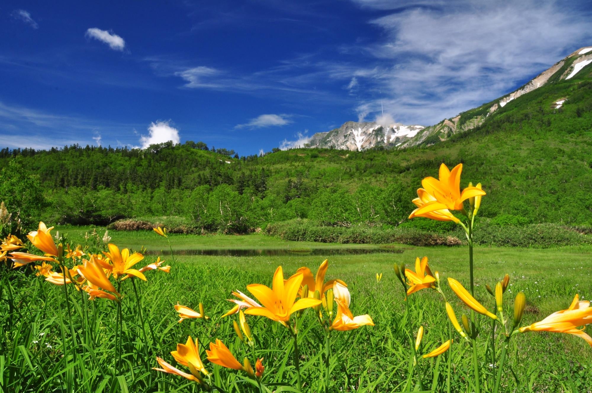 中部山岳国立公園「栂池自然園」