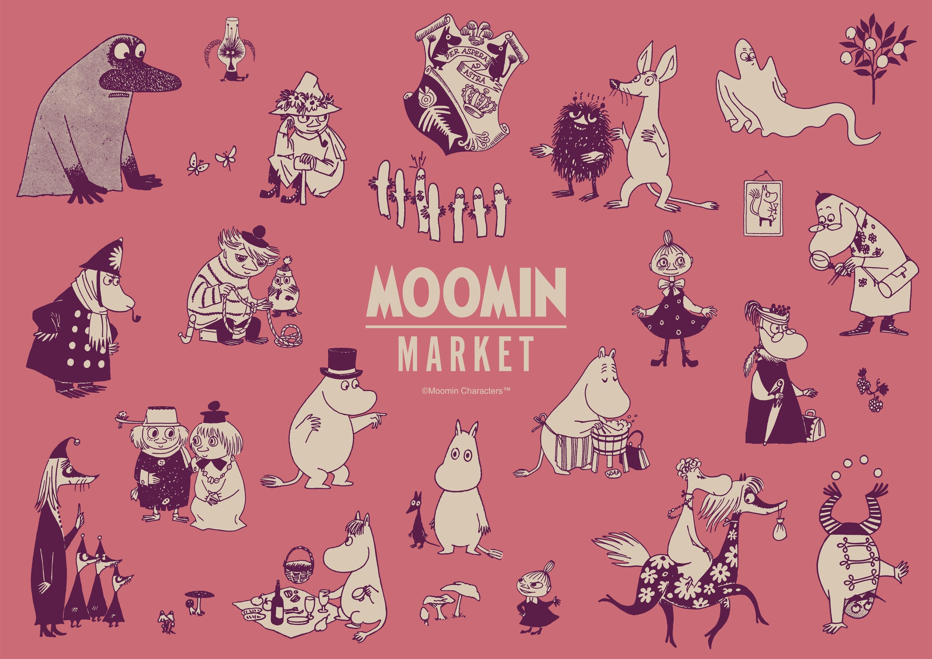 レアムーミンDVD24枚まとめ売りのみ 2025年ダブルアニバーサリー記念で「ムーミンの日」に限定グッズ