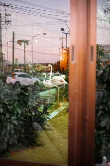 相澤有紀（アイザワユウキ）　