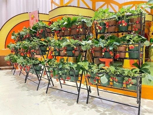 ※写真はイメージ