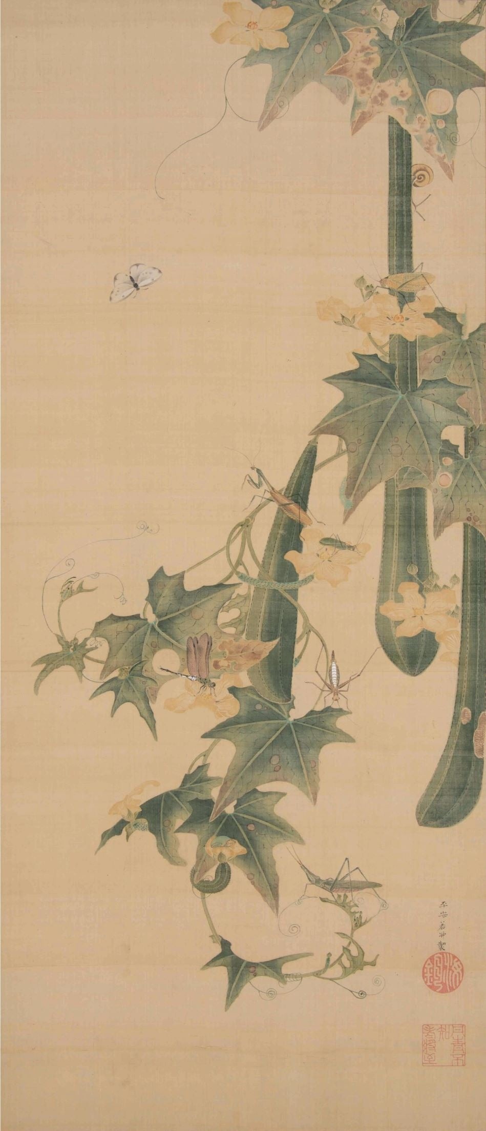 伊藤若冲　糸瓜群虫図　江戸中期