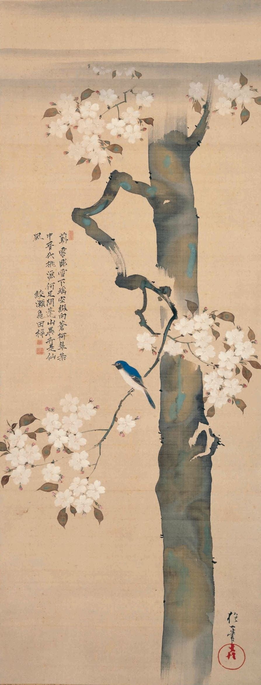 酒井抱一　桜に小禽図 江戸後期