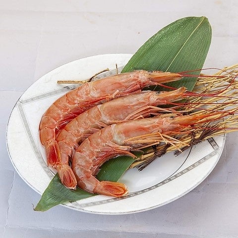 セレクション食材一例 ※写真はイメージです。