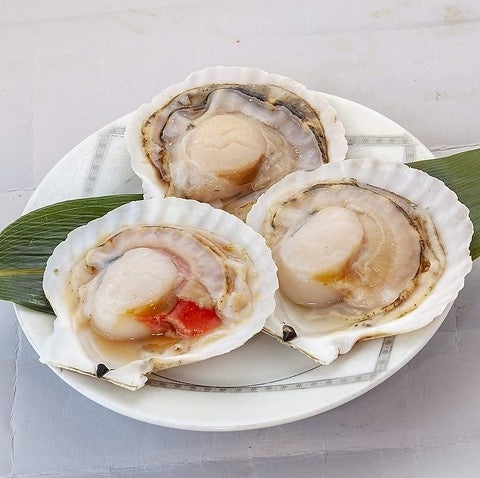 セレクション食材一例 ※写真はイメージです。