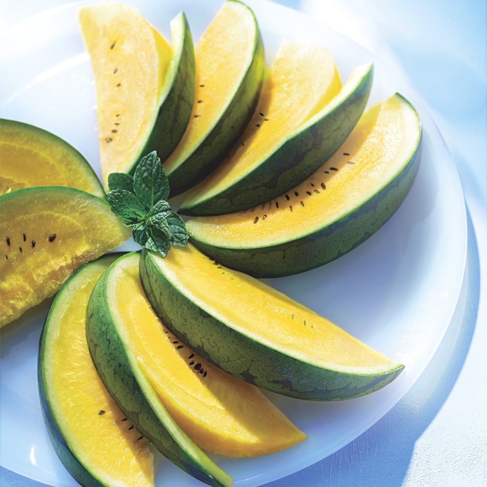 「北海道北竜町」　ひまわりスイカ（小玉）　5,400円