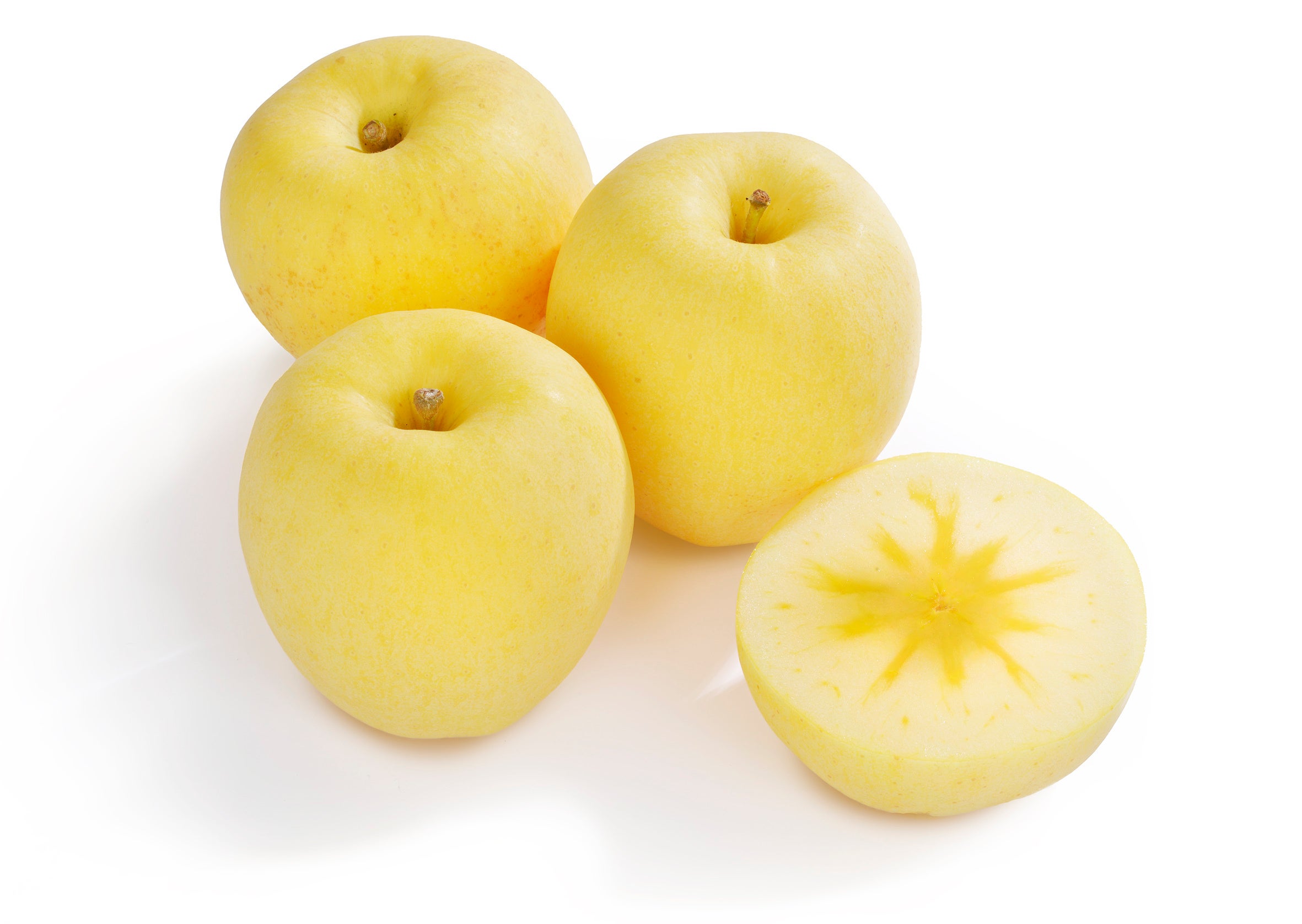 【RCコース】22,000円（税込み）　※約160点掲載 「岩手県産 冬恋りんご 極甘」