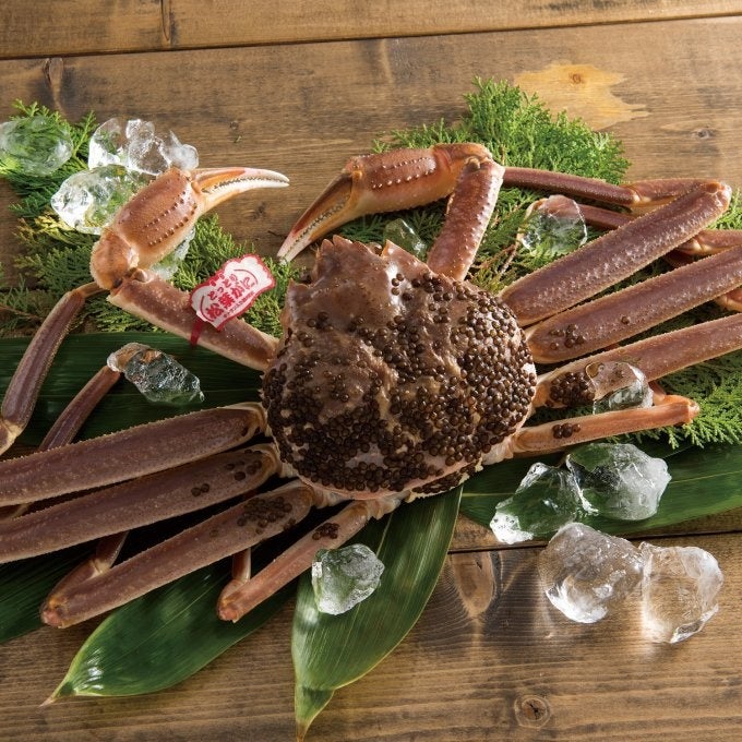 【RDコース】33,000円（税込み）　※約160点掲載 「活松葉がに(ずわいがに)」