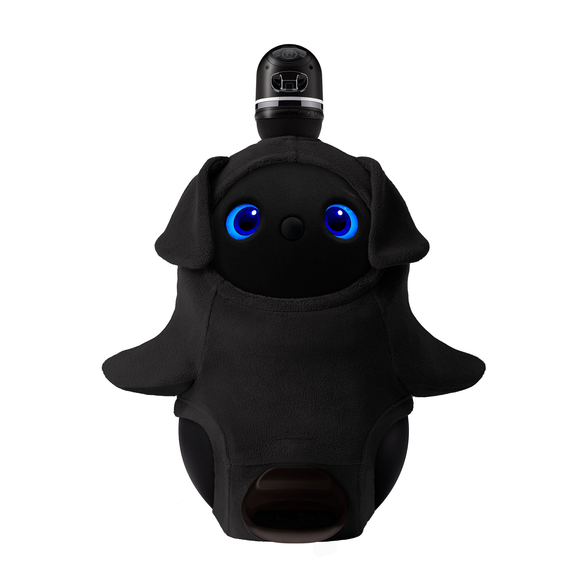 ウェアの着用画像