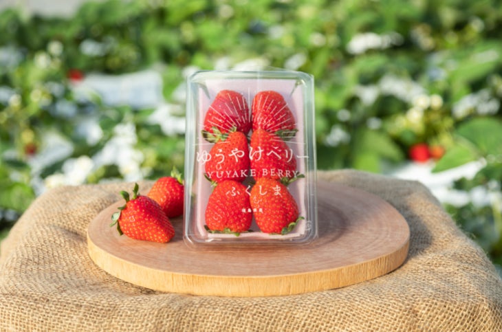 【玉川高島屋】福島の食の魅力を満喫!「PREMIUMゆうやけベリー」×「福、笑い」プレミアムフェア開催 【玉川高島屋】福島の食の魅力を満喫!「PREMIUMゆうやけベリー」×「福、笑い」プレミアムフェア開催