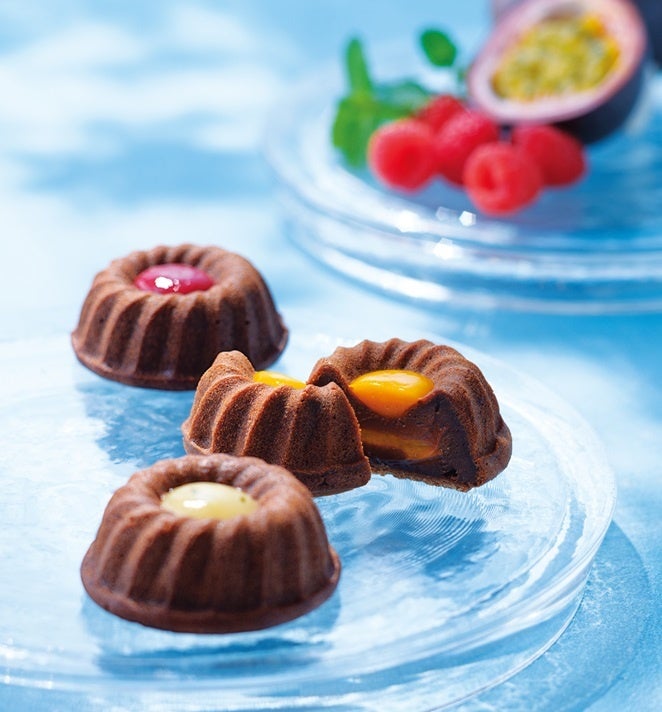 「ル・ショコラ・アラン・デュカス」&nbsp; &nbsp;モワルー・ショコラ＆フリュイ　5,400円　　※送料込み・冷凍便