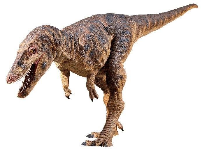 新宿高島屋】「福井県×タカシマヤ 発掘 恐竜王国展」を7月17日(水