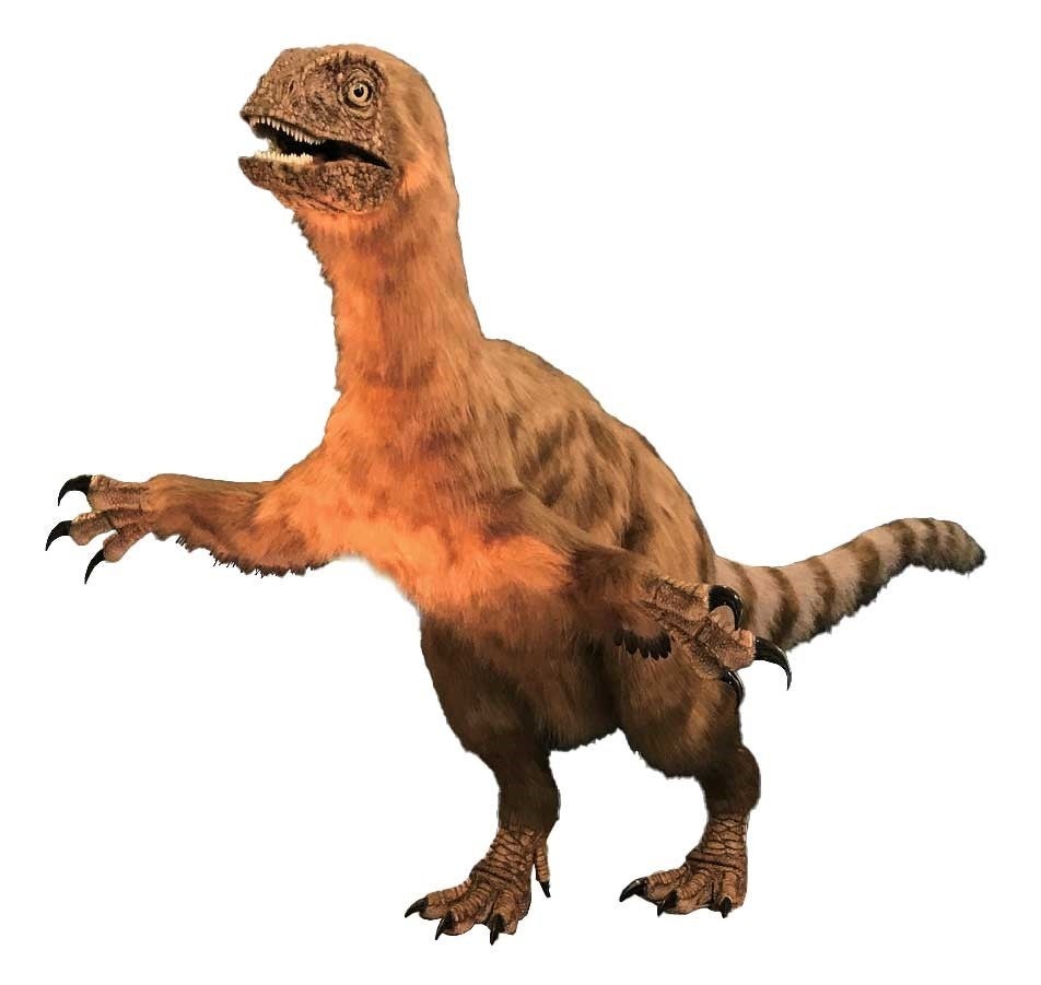 新宿高島屋】「福井県×タカシマヤ 発掘 恐竜王国展」を7月17日(水