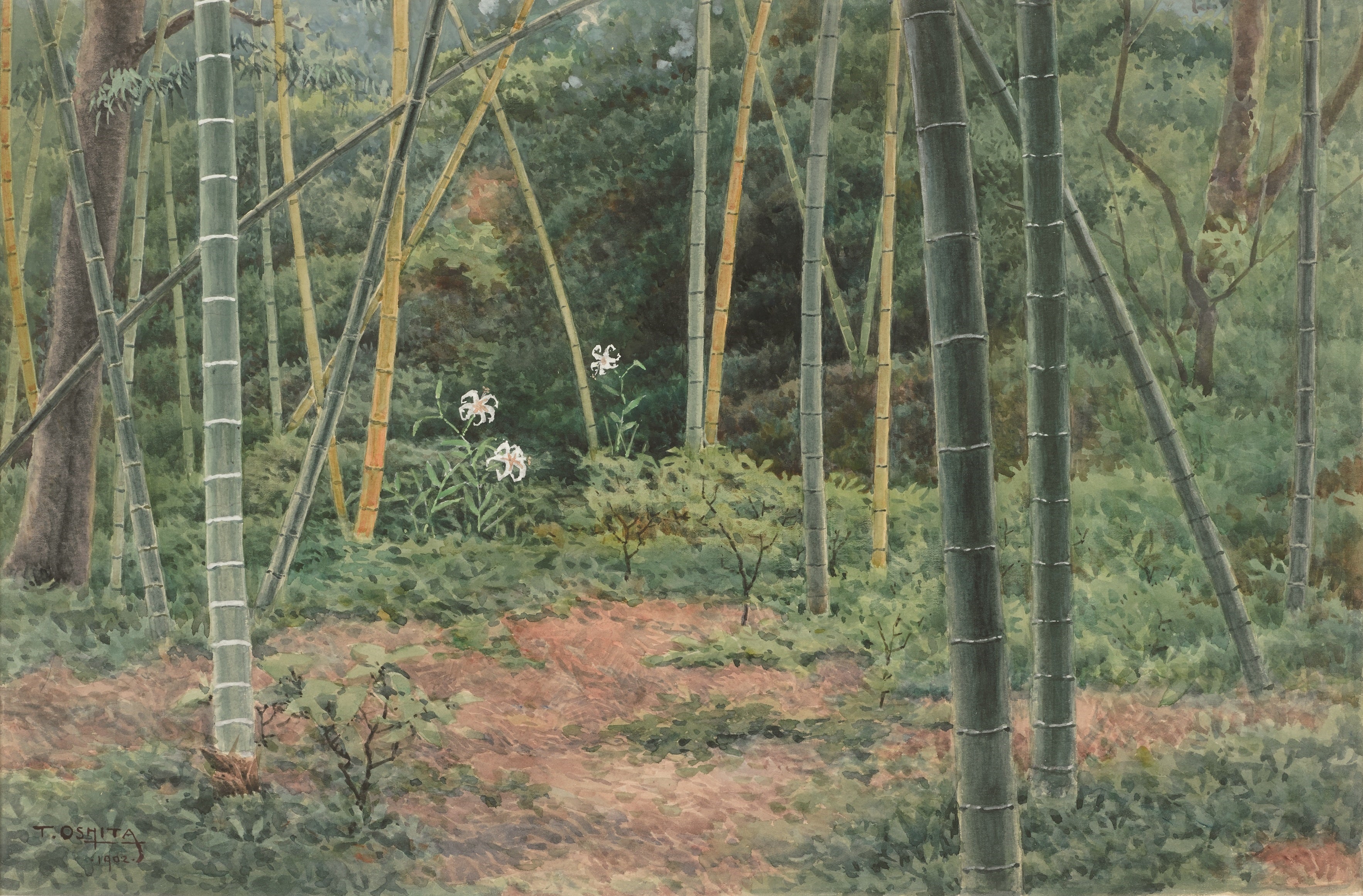 大下藤次郎《竹林の白百合》 1902（明治35）年