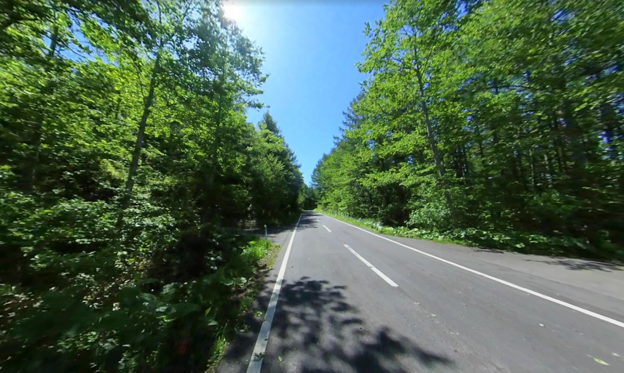 空間型VRでの体験コースの一部（カラマツの道）