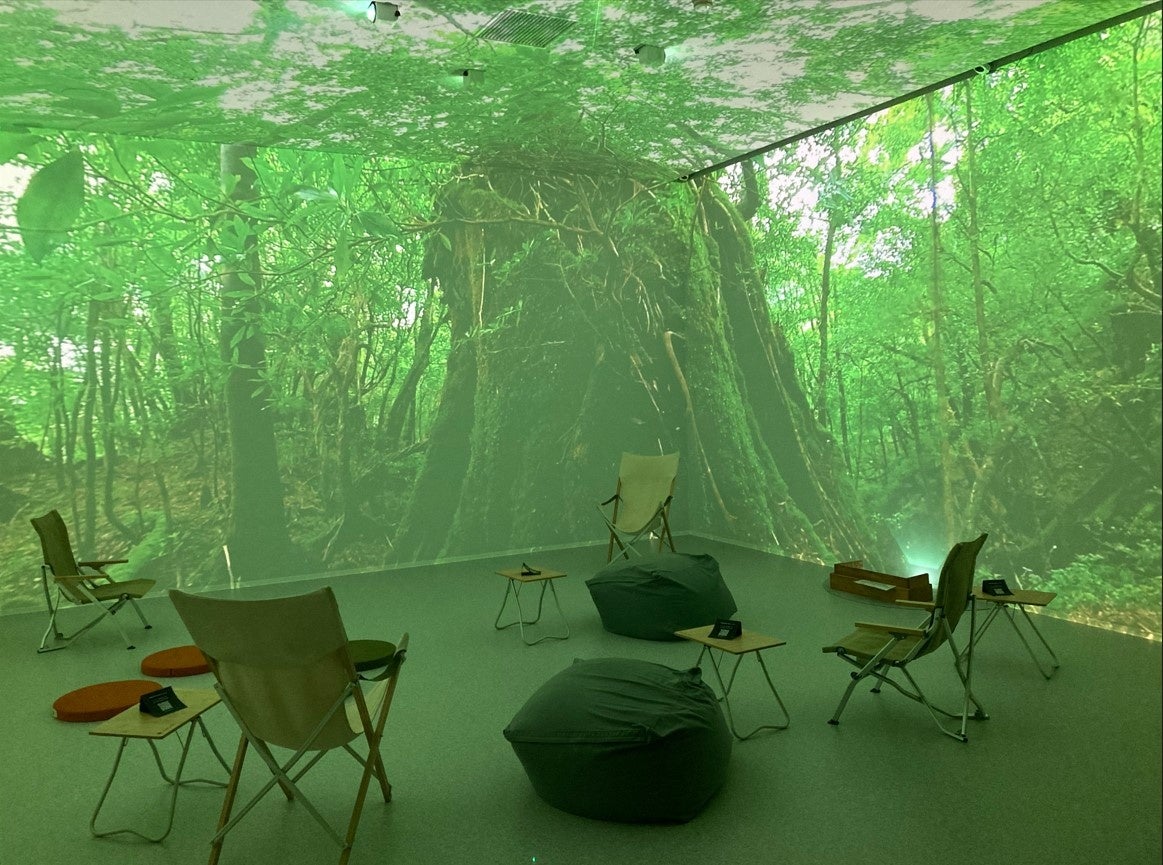 屋久島の屋久杉