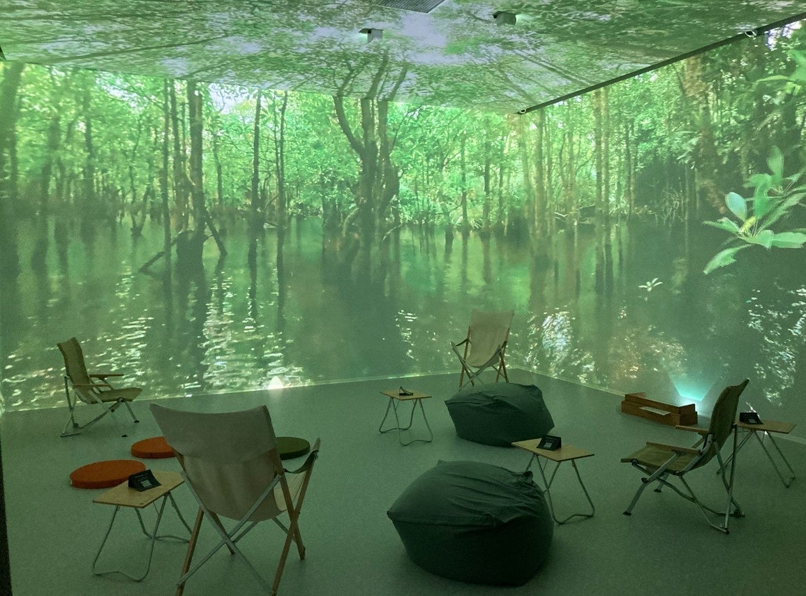 西表島のマングローブ　※上記画像はすべてうららパーク浦幌にて撮影