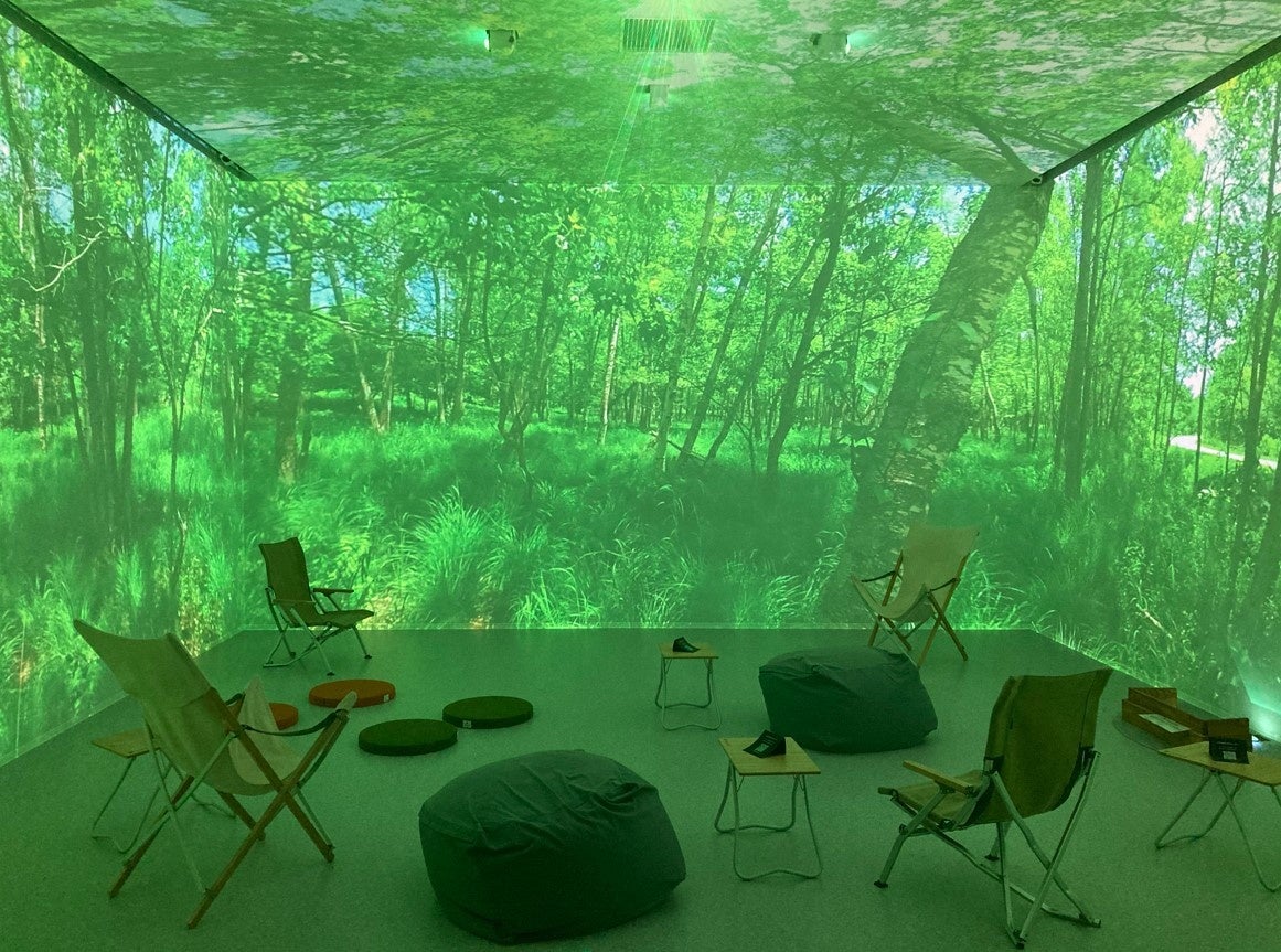 2022年6月撮影 十勝浦幌町の森