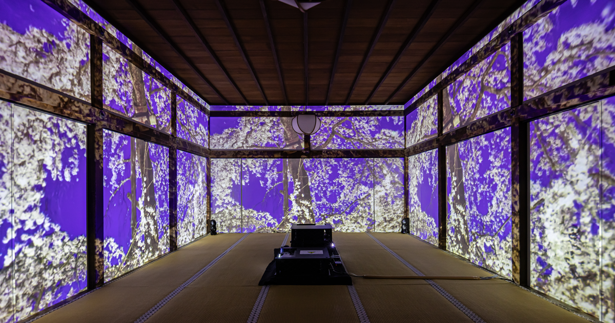 醍醐寺の桜～醍醐寺（アートイベント）～