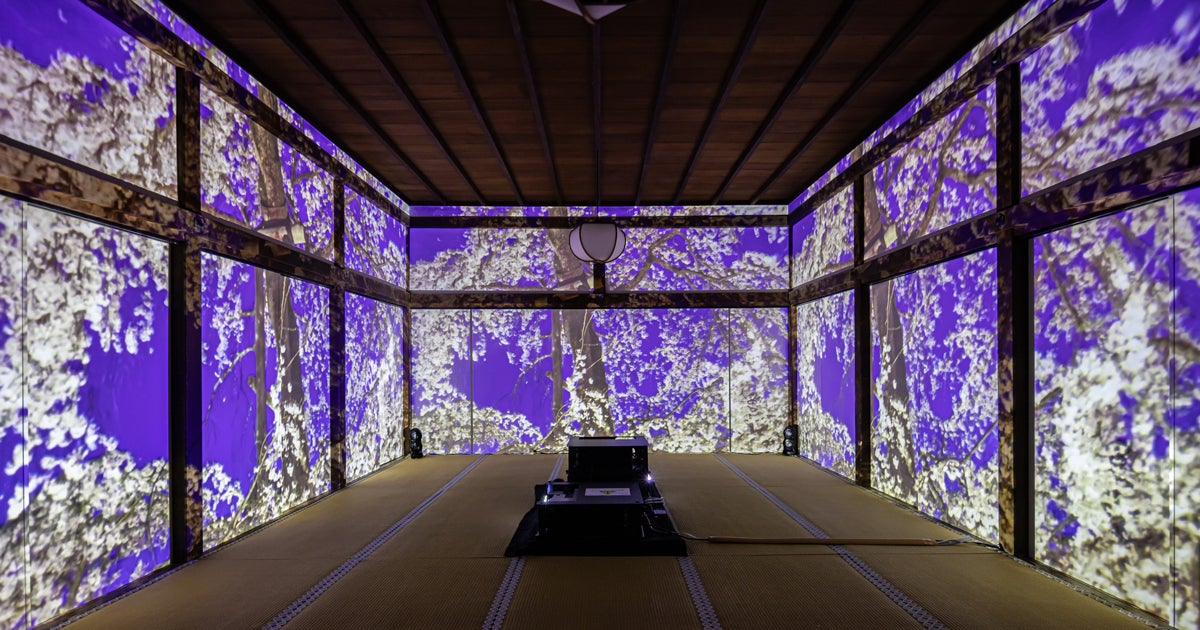 醍醐寺の桜~醍醐寺(アートイベント)~