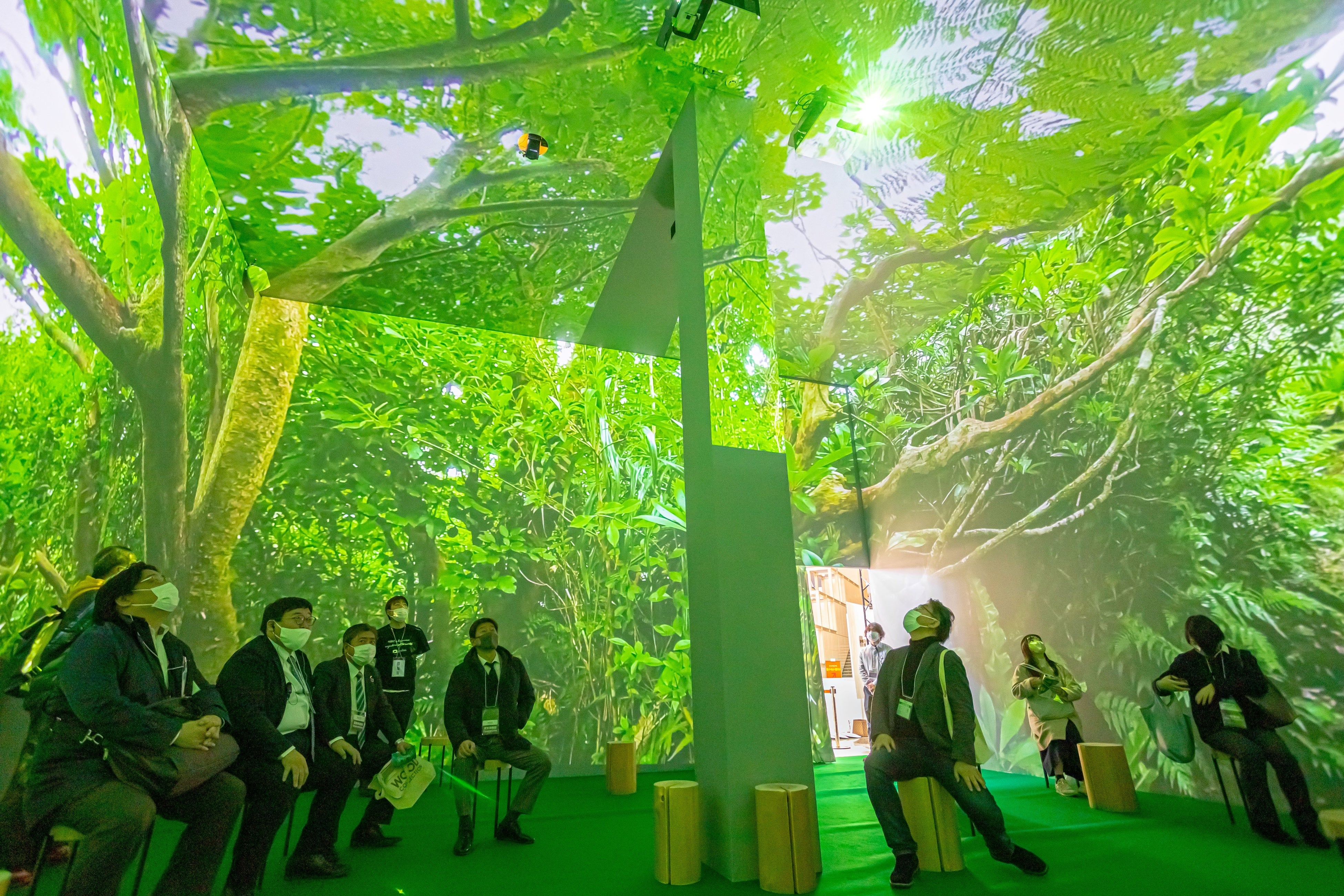 小笠原諸島の森～WOODコレクション（展示会）～