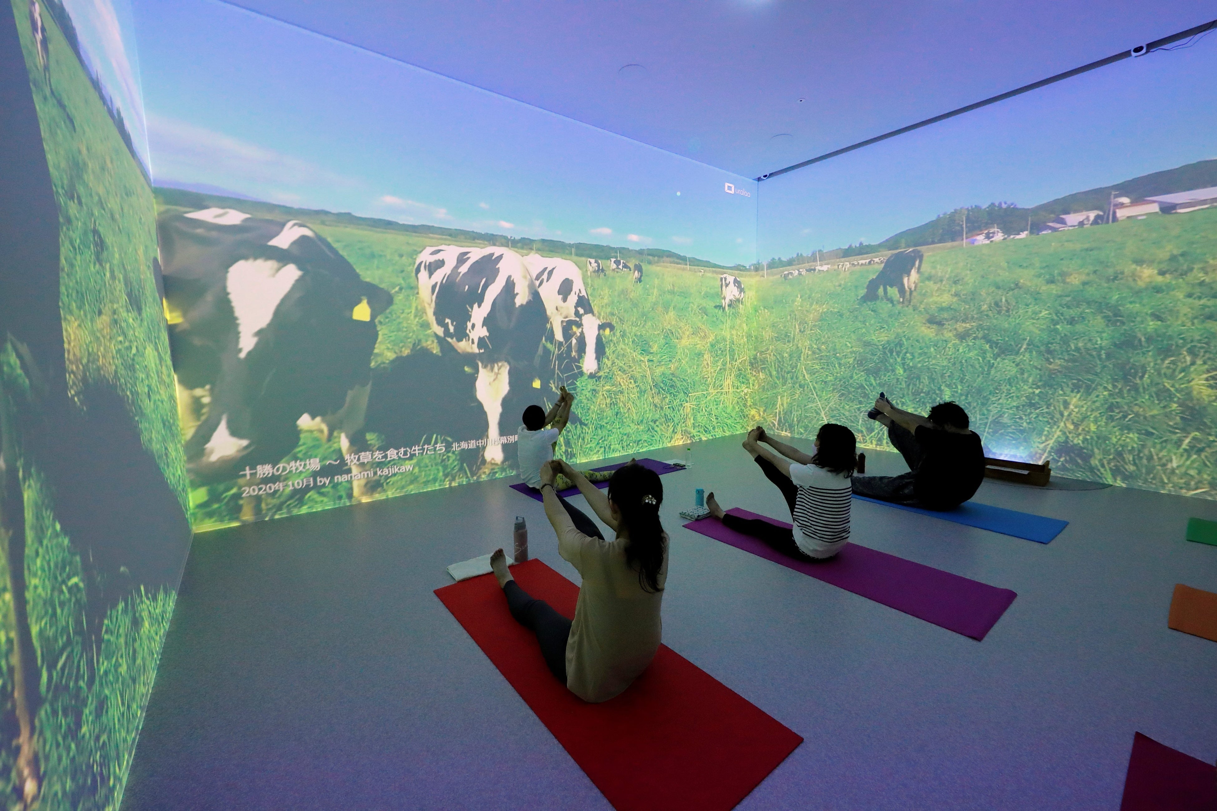 北海道十勝の牧場～uralaa park ヨガ（イベント）～