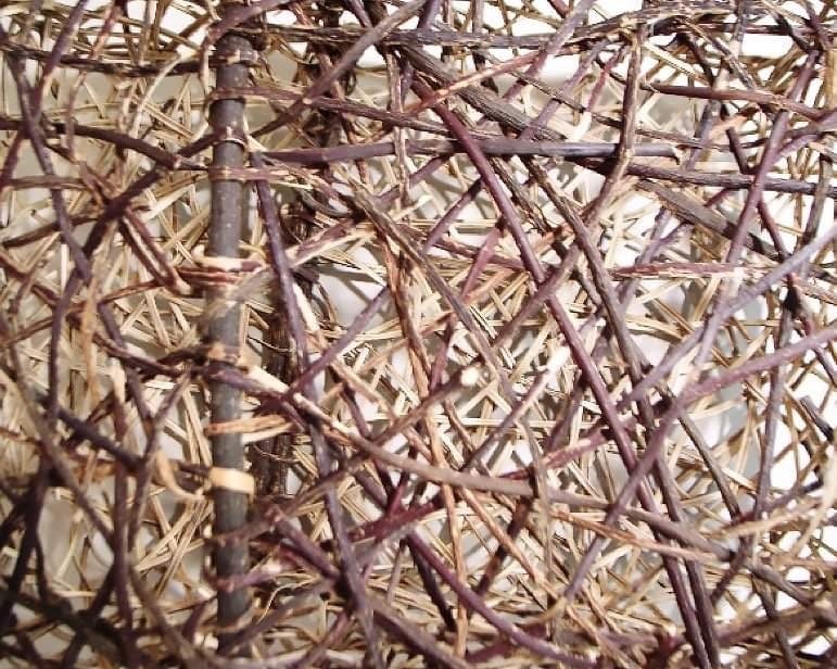 バスケタリ―ワークショップ