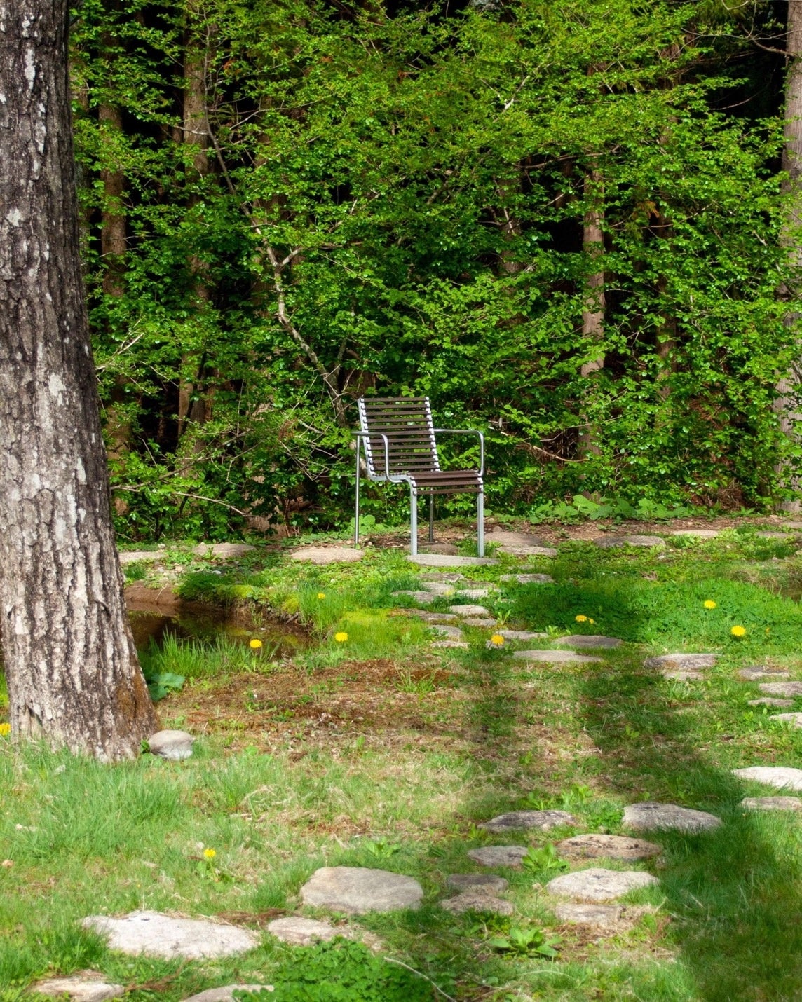 「WATER here and there」設置イメージ