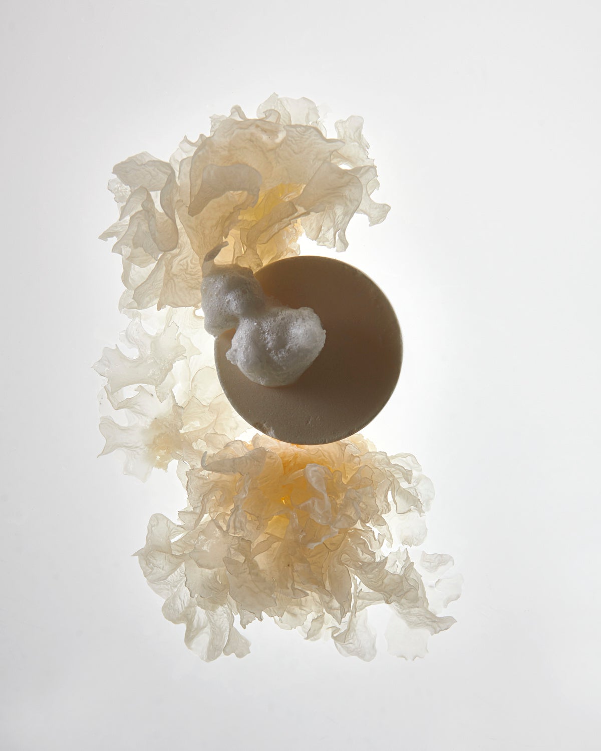 SNOW MUSHROOM - Salt Cleanser