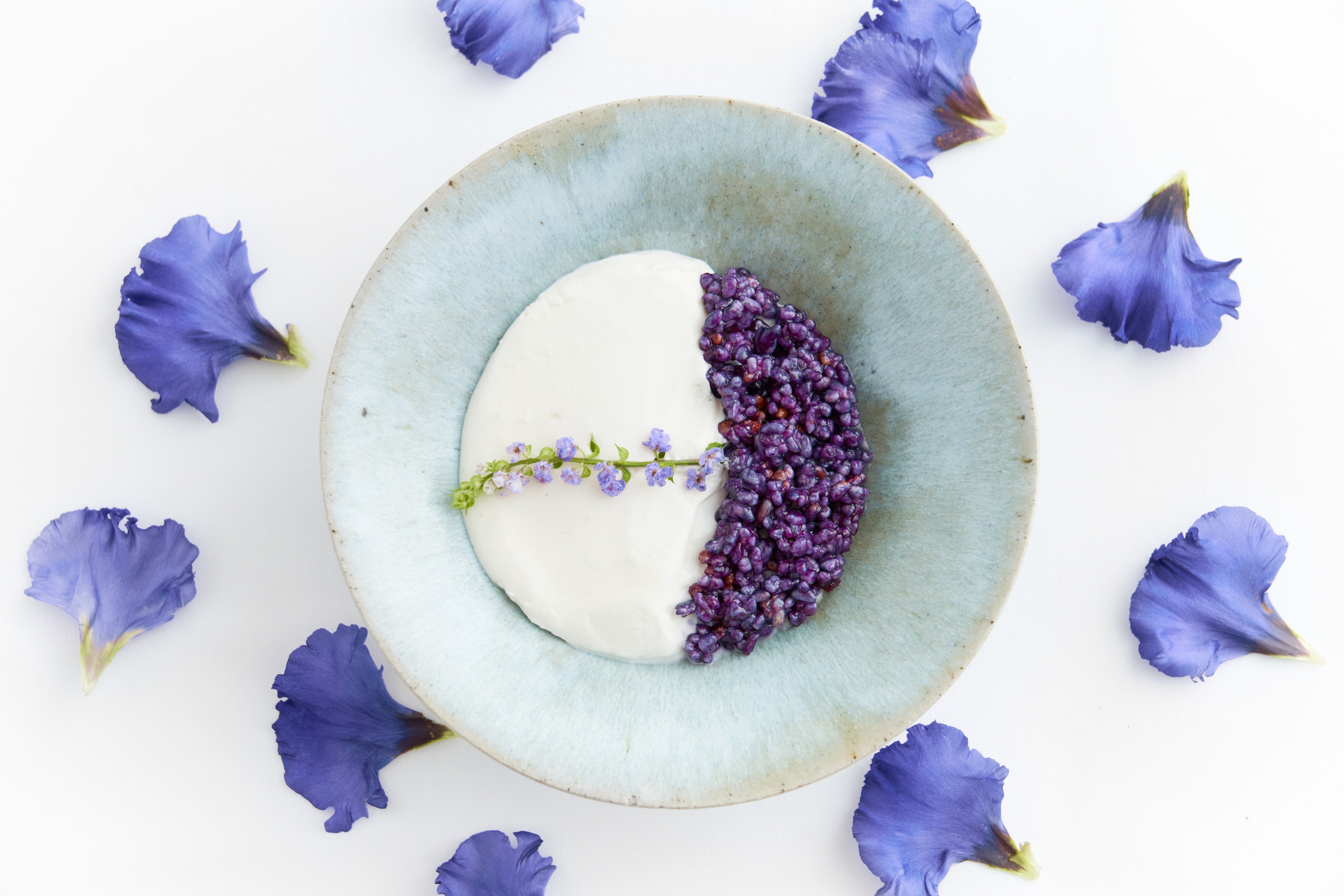 JGクラシック チョコレート プディング バイオレット キャンディー