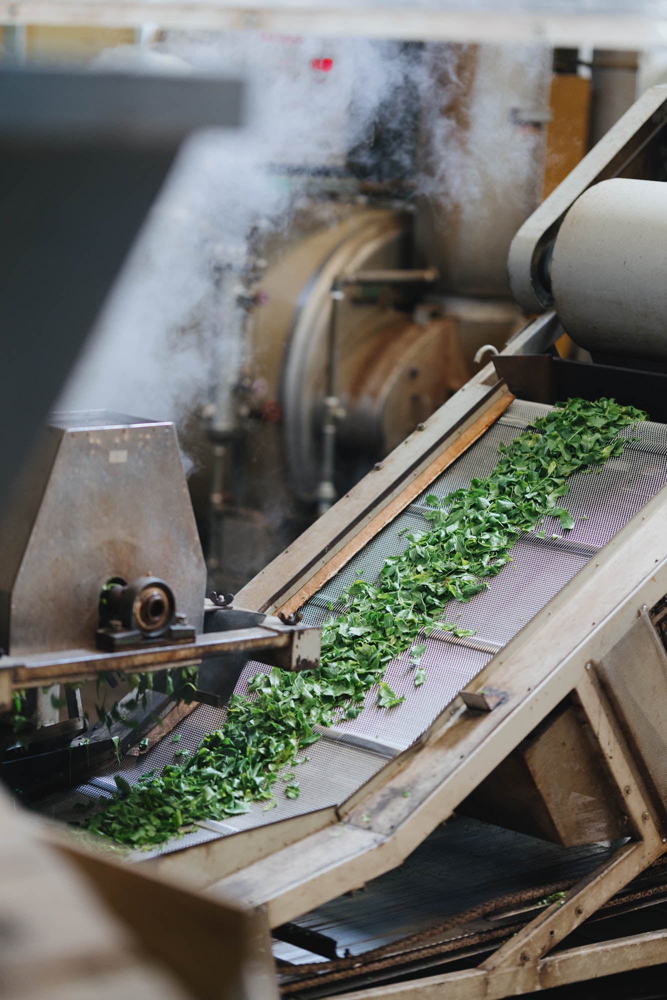 「ティートピア」の愛称で知られる京都・和束町は日本茶の最高峰の産地として知られています。