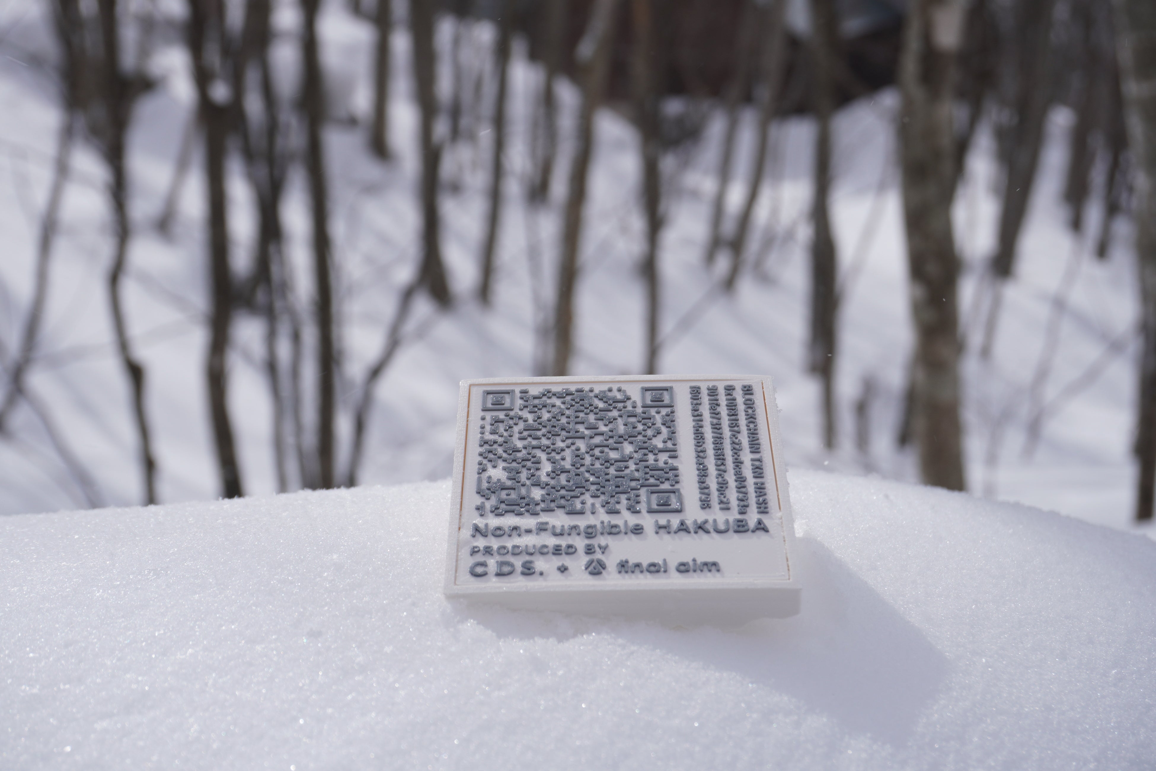 裏面：投稿写真のNFTデータを刻印