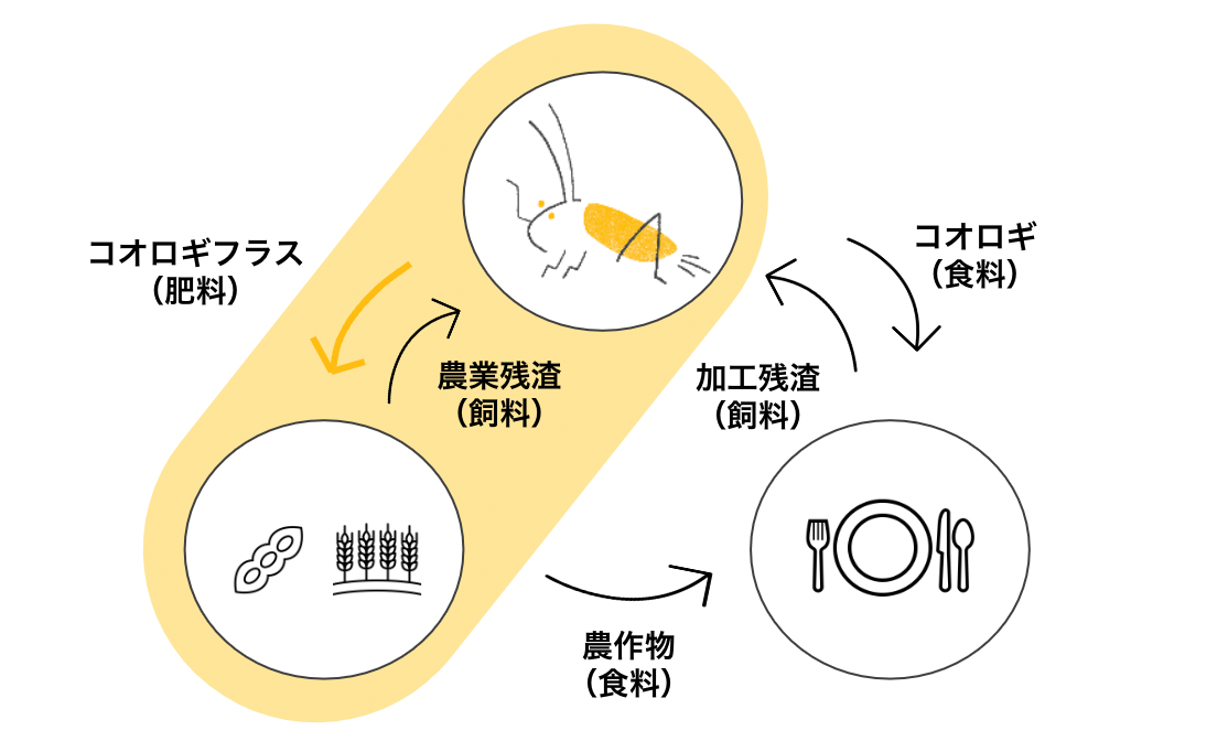 コオロギフラスの実用化を通して目指す循環型の食料システム