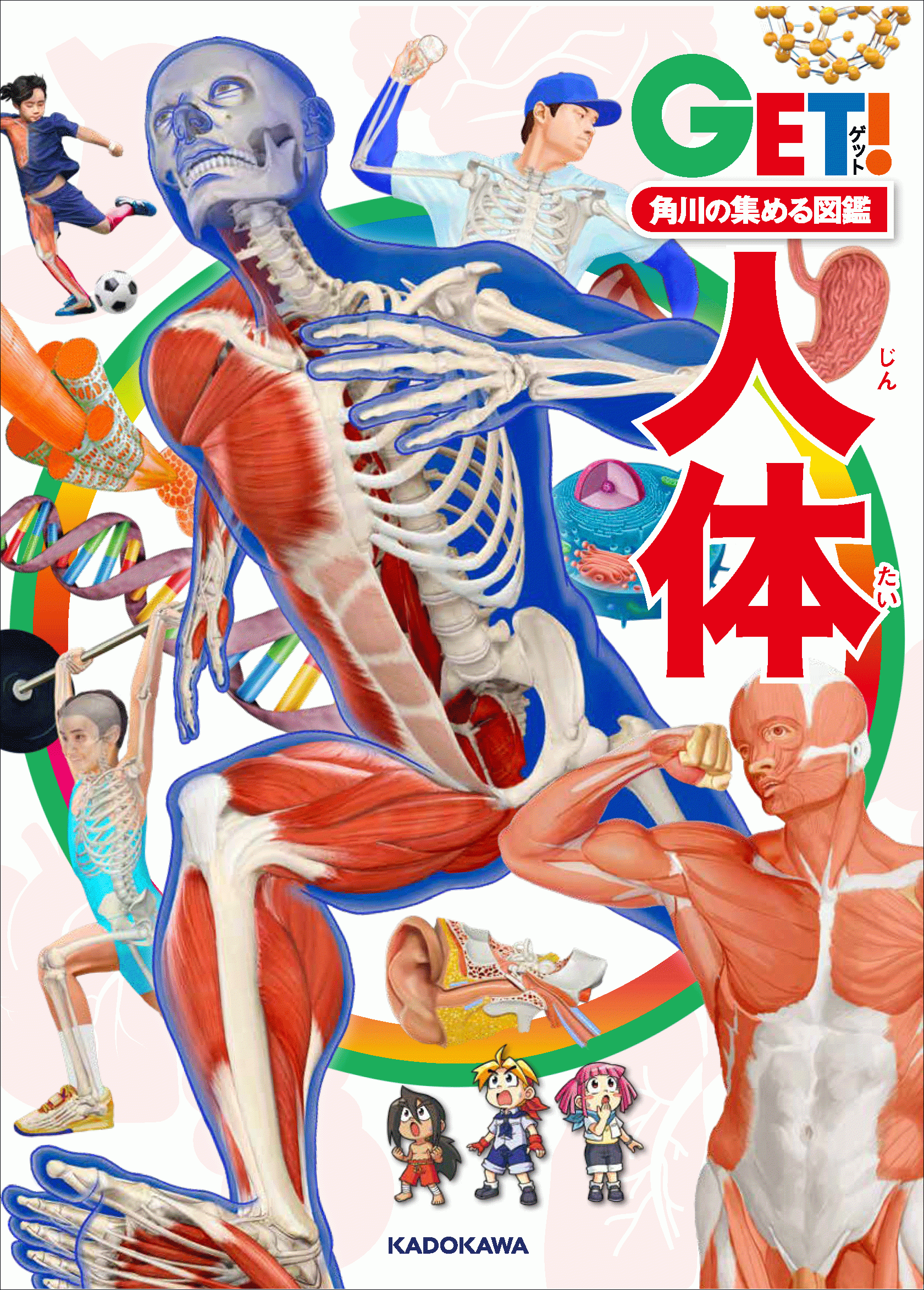 『角川の集める図鑑GET！　人体』書影